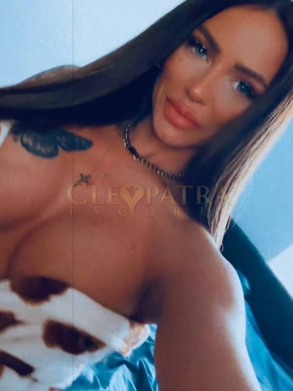 Feba, Romanian escort in Gloucester Road photo 4