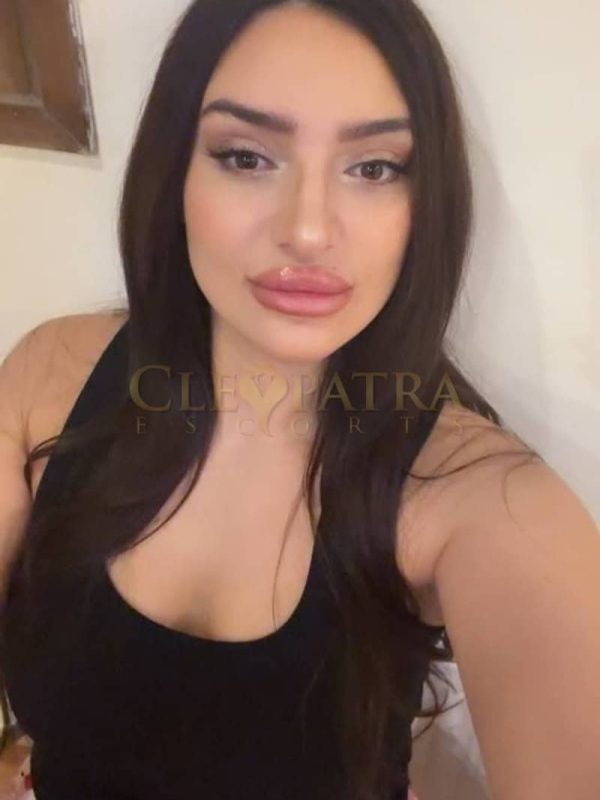 Guadalupe, E. European escort in Paddington photo 11