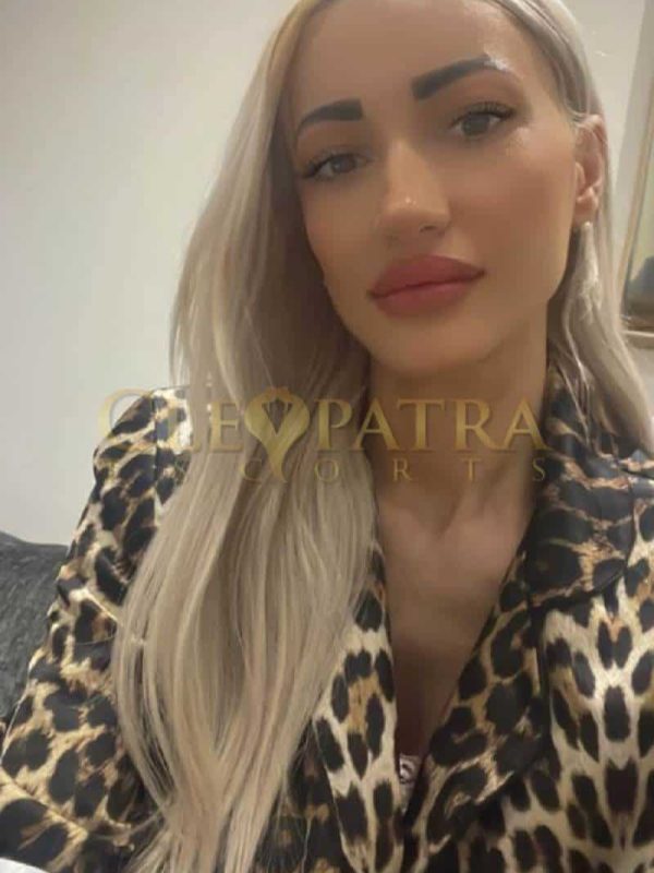 Tabby, E. European escort in Regent's Park photo 2
